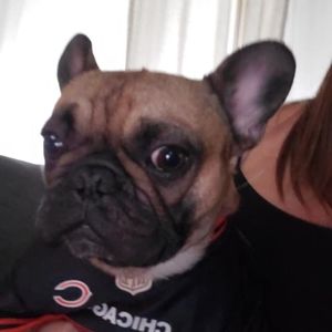 Meet your Posher, Kelly